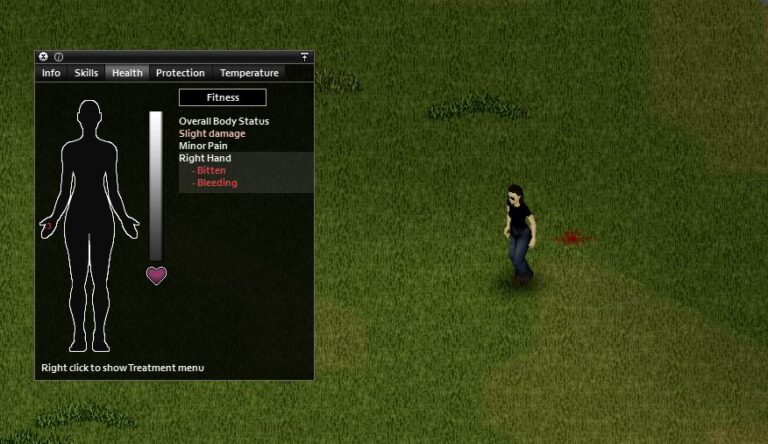 project-zomboid-how-to-cure-infection