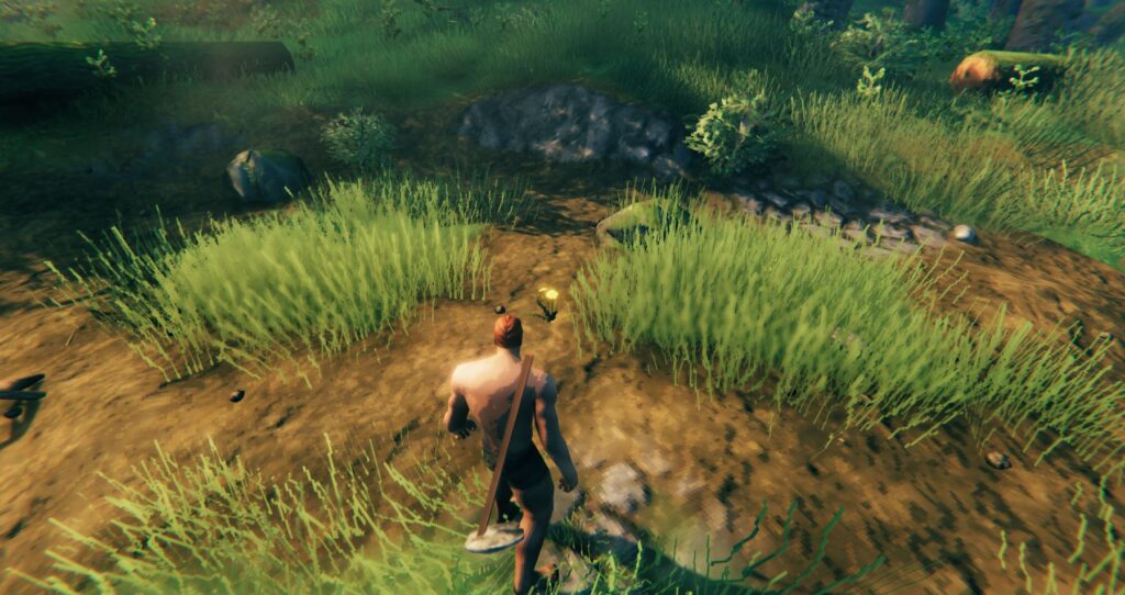 How to Plant/Grow Grass in Valheim — Set Ready Game